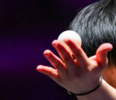 日在成都举 日在成都举