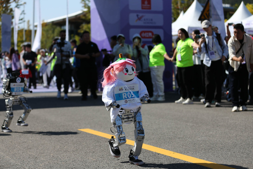 dZZ, 赛事期间 dZZ, 赛事期间